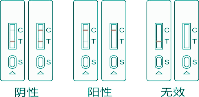 沙丁胺醇快速檢測(cè)卡結(jié)果判讀