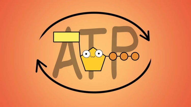 ATP快速熒光檢測(cè)儀是一種高效、準(zhǔn)確、易操作的設(shè)備